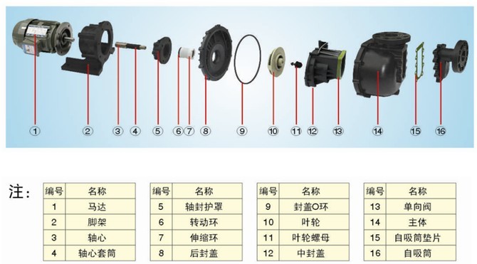 大頭泵分解圖